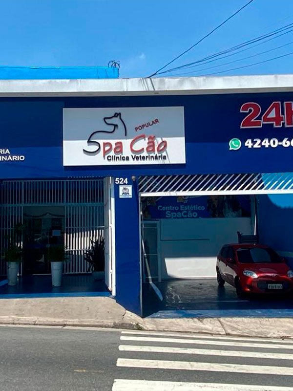 spa-31